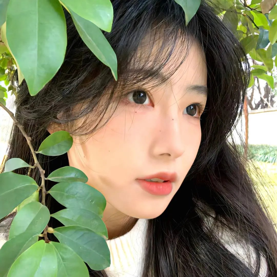 无界之地